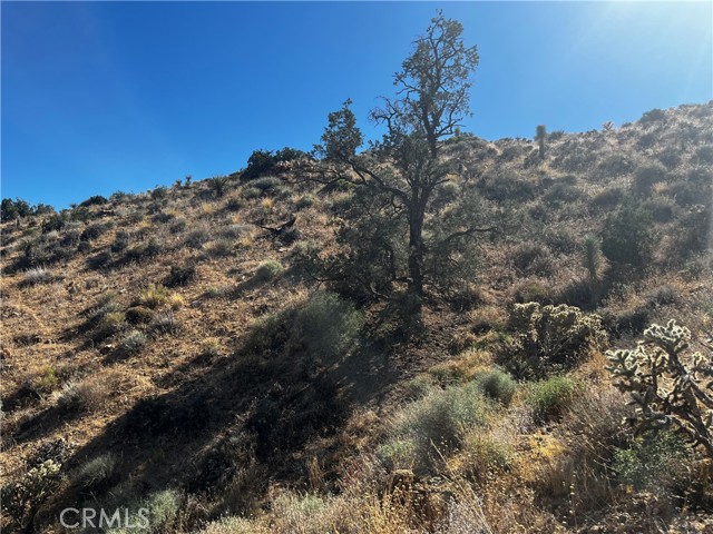 0 Golden Bee Drive, Yucca Valley, California 92284, ,Land,For Sale,0 Golden Bee Drive,CRJT23172613