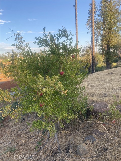 Image 1 of 12 For 5640 Gramercy