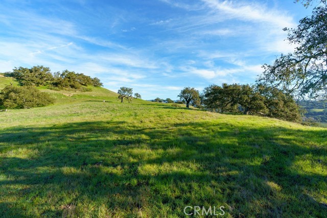 Detail Gallery Image 17 of 29 For 518 Bella Terra Ct, San Luis Obispo,  CA 93401 - – Beds | – Baths