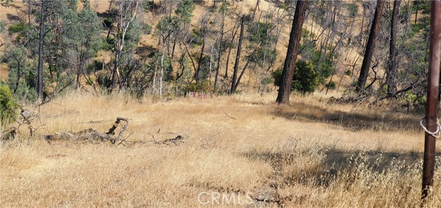 Detail Gallery Image 5 of 11 For 15687 Stagecoach, Corning,  CA 96021 - – Beds | – Baths