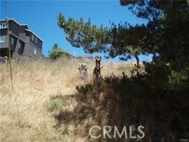 1650 Pierce, Cambria, California 93428, ,Land,For Sale,1650 Pierce,CRSC24028181