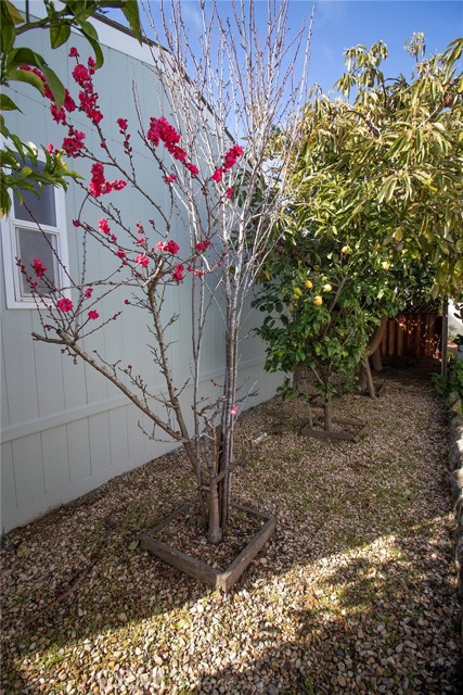 Detail Gallery Image 24 of 25 For 1701 S Thornburg #40,  Santa Maria,  CA 93458 - 2 Beds | 2 Baths