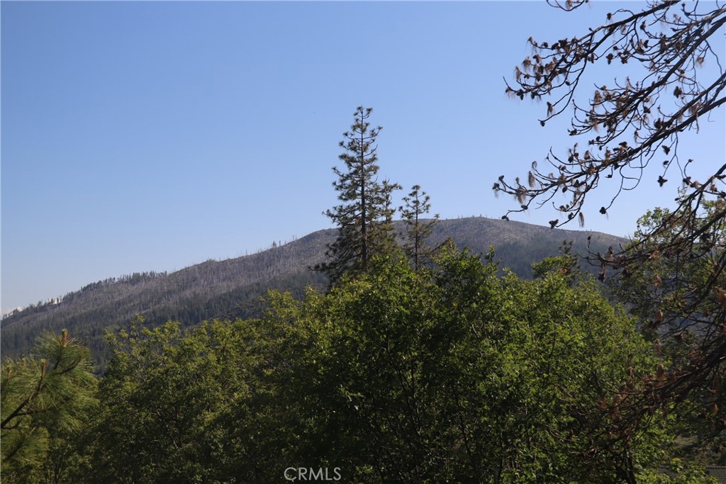 https://media.crmls.org/medias/c09a3228-9568-418a-8190-7997668ddb9d.jpg?preset=X-Large