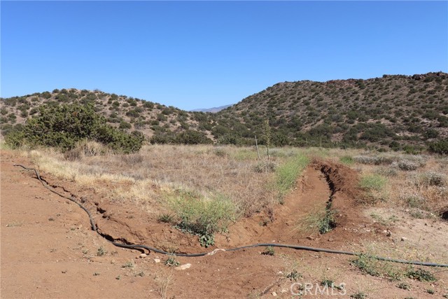 0 W 28th W Street, Acton CA: https://media.crmls.org/medias/c09e1a54-563e-4100-b77d-011dd31e2756.jpg