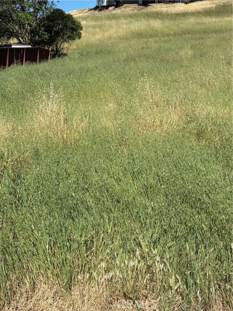 4813 Tumbleweed Way, Paso Robles CA: https://media.crmls.org/medias/c0a074d4-e272-4261-a56d-4cb5bbbb5259.jpg