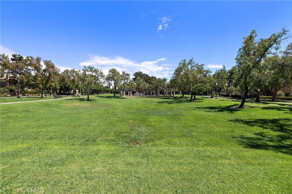 C0a21257 55af 448a Bfdb 056218147396