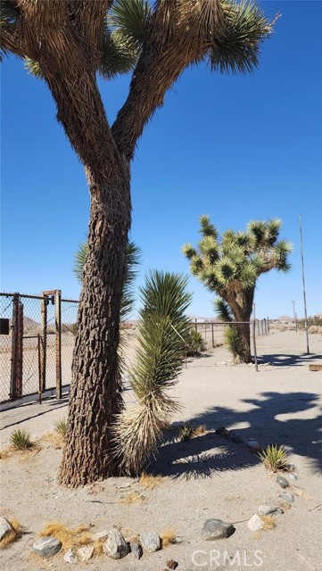 Detail Gallery Image 2 of 12 For 18597 Saint Basil, Adelanto,  CA 92301 - 2 Beds | 1 Baths