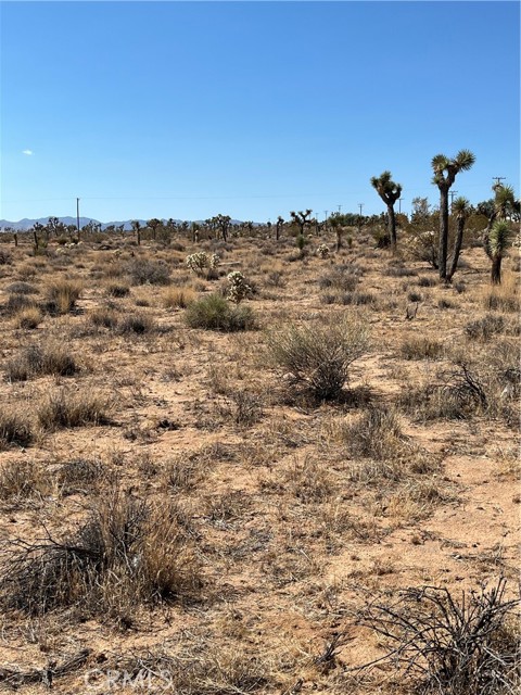 Detail Gallery Image 9 of 11 For 2801 Avalon Ave, Yucca Valley,  CA 92284 - – Beds | – Baths