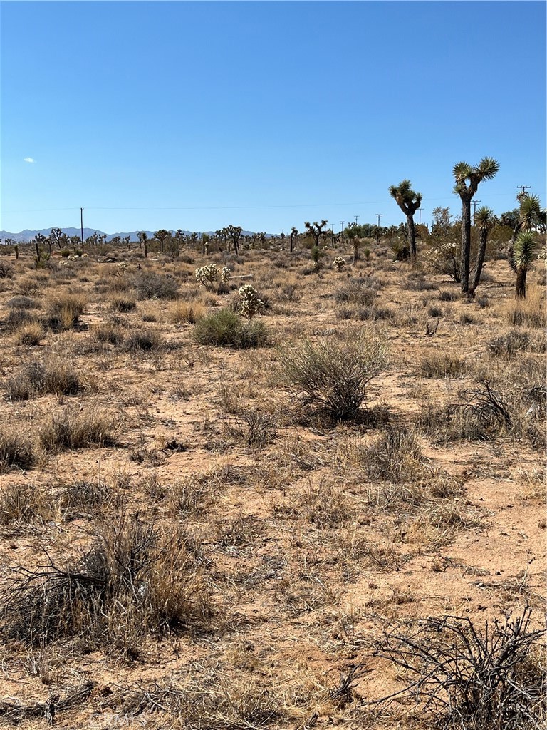 MLS #JT25190838 image #8