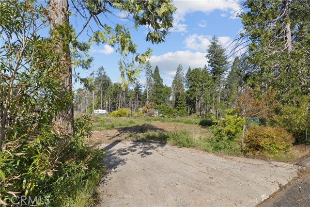 Front Image Thumbnail for CRSN26020151