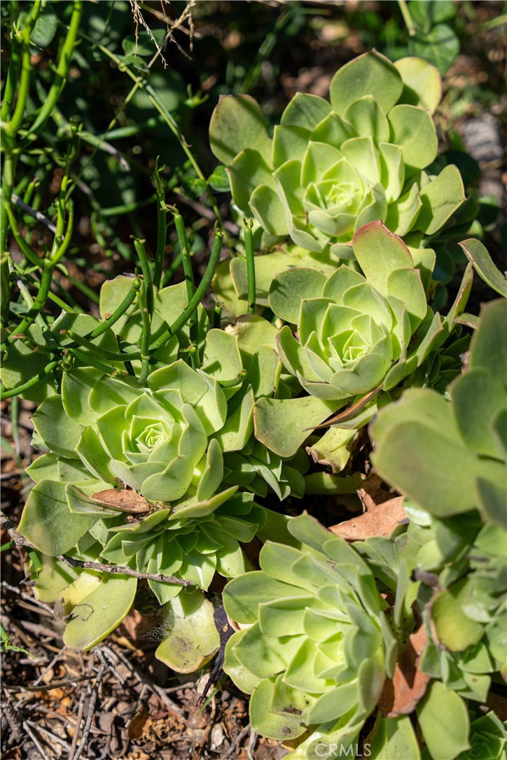 https://media.crmls.org/medias/c0b10343-ce13-4a9d-8a4a-b9627aae7650.jpg?preset=X-Large