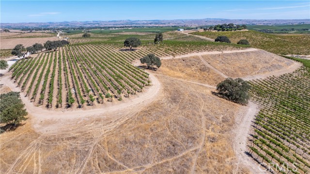 4825 Mill Road, Paso Robles CA: https://media.crmls.org/medias/c0b94ea1-9ef9-4f07-9294-36366b04f632.jpg