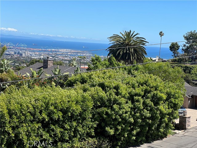 My cell phone pic.from 4/11/26.