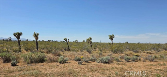 Front Image Thumbnail for CRSR26057908