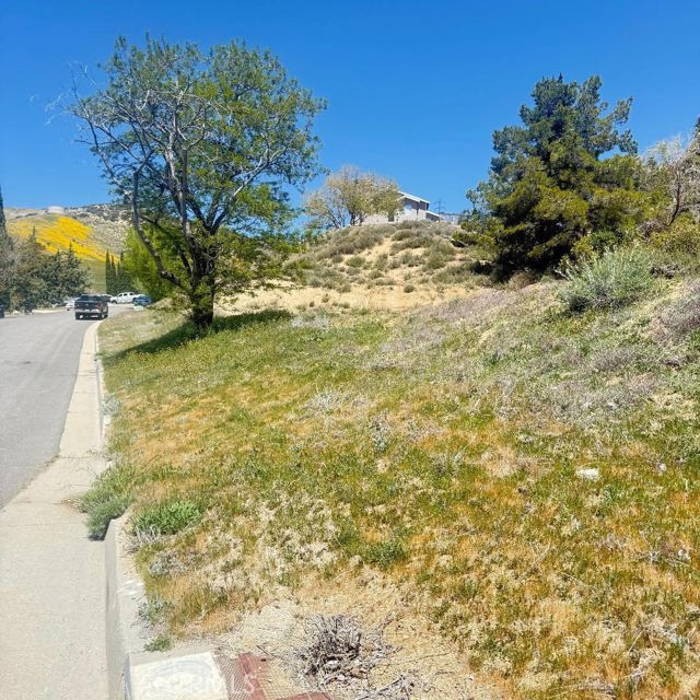 1 Johnson Road, Lake Elizabeth CA: https://media.crmls.org/medias/c0be0b81-3d4e-4490-ad71-1fb1f794b7c6.jpg