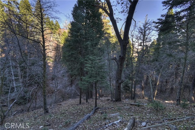 687 Spring, Cedarpines Park CA: https://media.crmls.org/medias/c0c32dfb-4774-4630-8713-9e286fc5f3cf.jpg