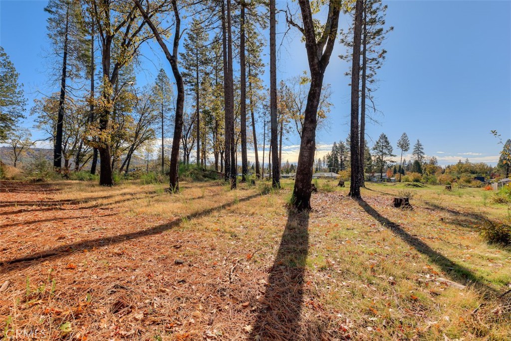 MLS #SN25261904 image #5