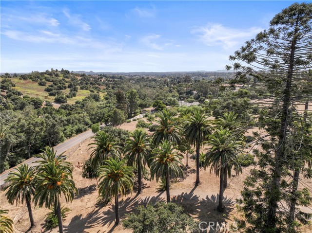 3210 Live Oak Park Rd, Fallbrook, California 92028, ,Residential Land,For Sale,Live Oak Park Rd,SW24116983