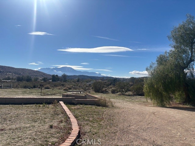 MLS #JT25263914 image #4