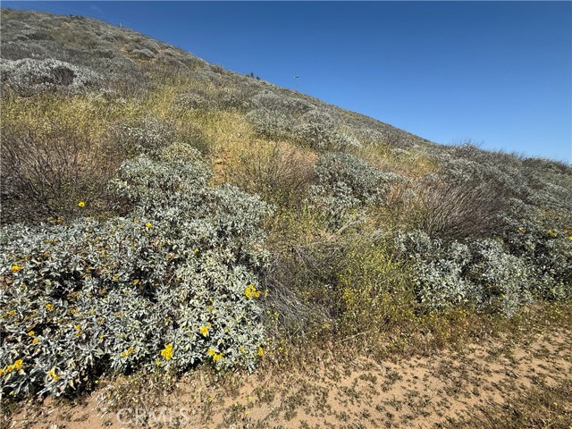 Detail Gallery Image 4 of 8 For 0 Mill St, Lake Elsinore,  CA 92530 - – Beds | – Baths