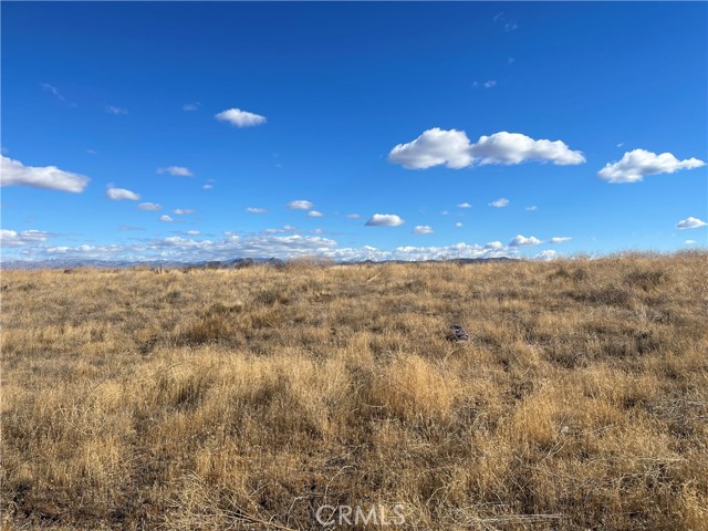 Detail Gallery Image 14 of 62 For 0 Cedar Street, Hesperia,  CA 92344 - – Beds | – Baths