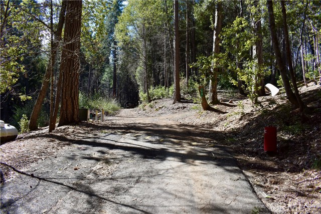 Detail Gallery Image 9 of 52 For 0 Toyon Trl, Berry Creek,  CA 95916 - – Beds | – Baths