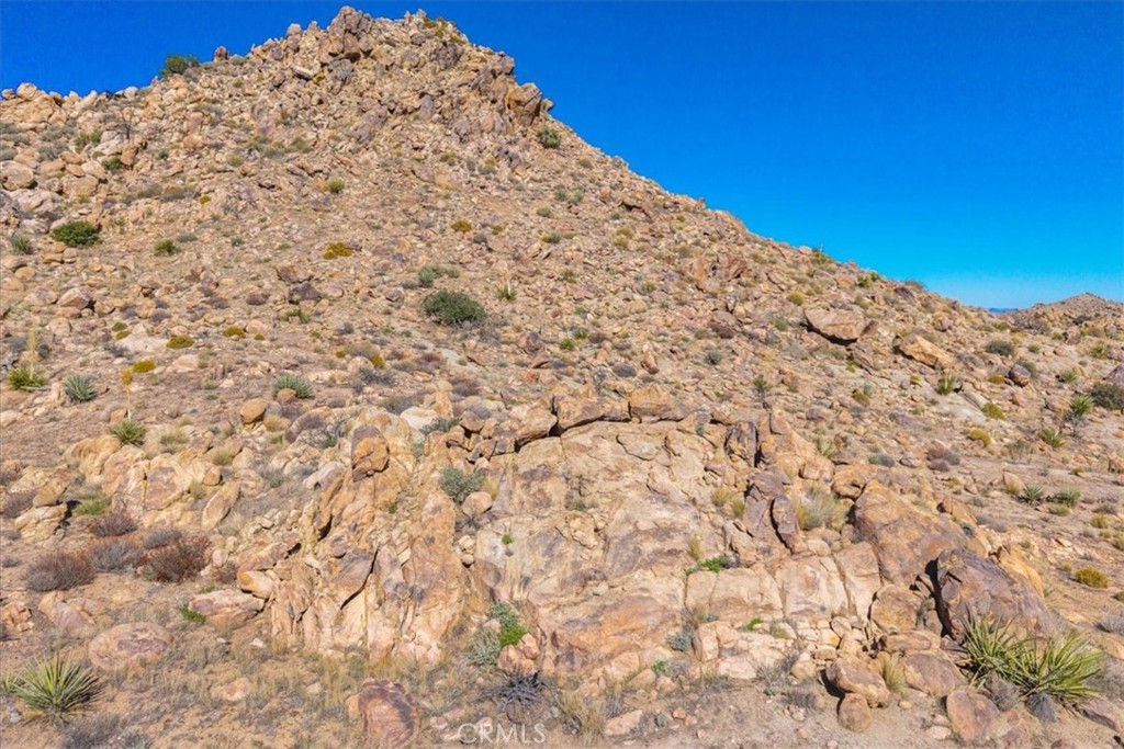 MLS #JT25250010 image #19