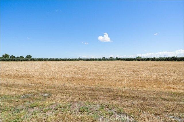 4190 County E Road, Orland CA: https://media.crmls.org/medias/c0f9d539-0950-461f-98cf-b5d4e1533d5d.jpg