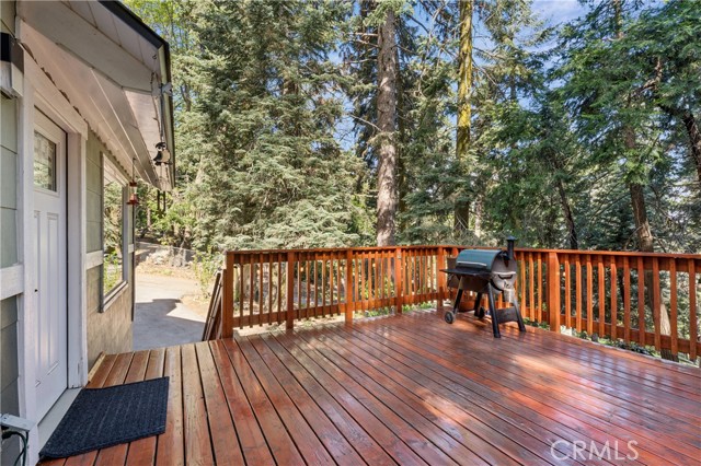 Detail Gallery Image 33 of 43 For 355 Hartman Cir, Cedarpines Park,  CA 92322 - 3 Beds | 3 Baths