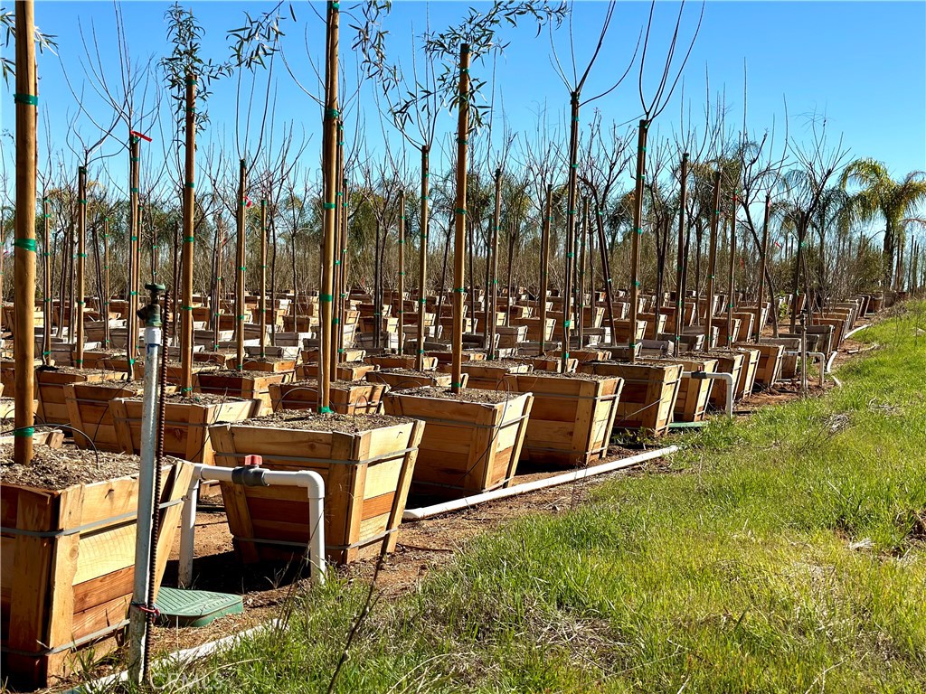 MLS #IV25035655 image #22