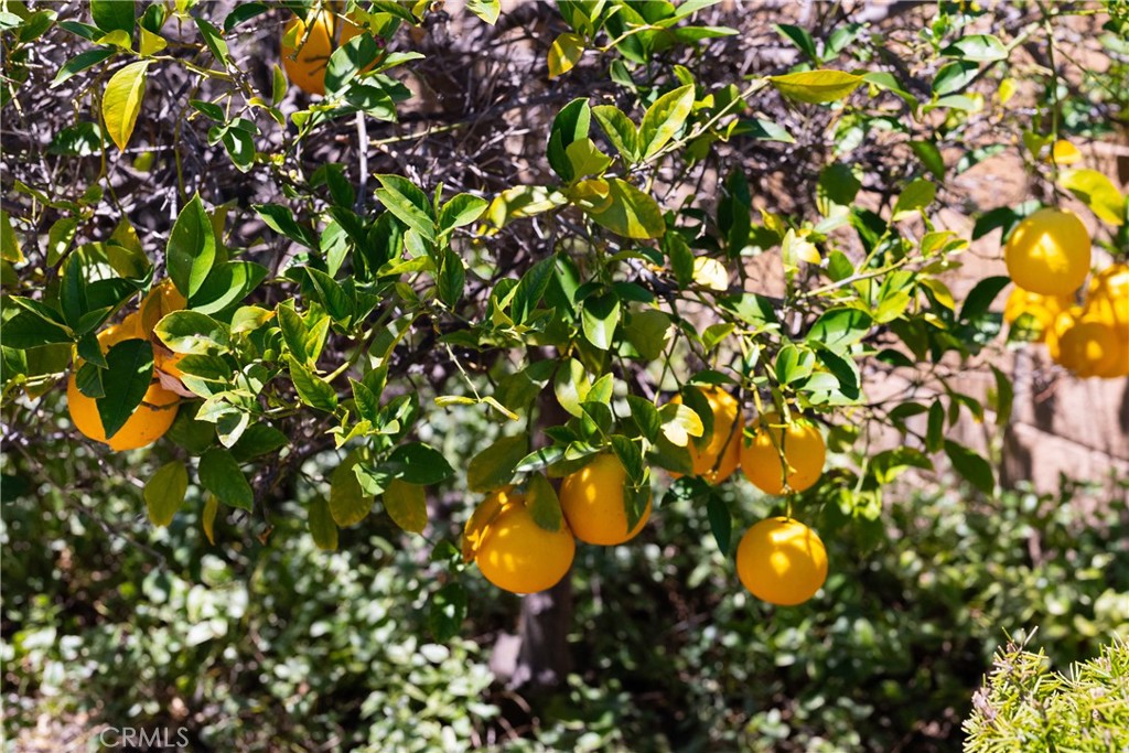 https://media.crmls.org/medias/c108576c-758e-44f8-9ae7-9d4081587e27.jpg?preset=X-Large