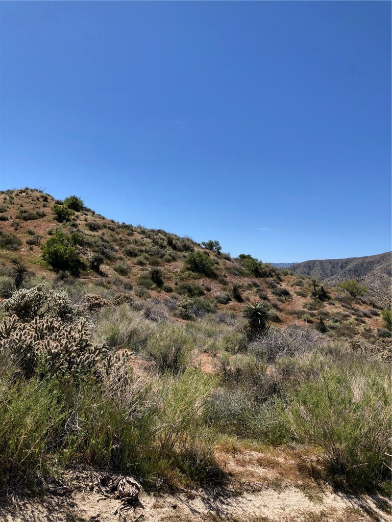 Detail Gallery Image 7 of 10 For 25 Acres  Apn# 0582081110000 / 0582081100000, Morongo Valley,  CA 92256 - – Beds | – Baths