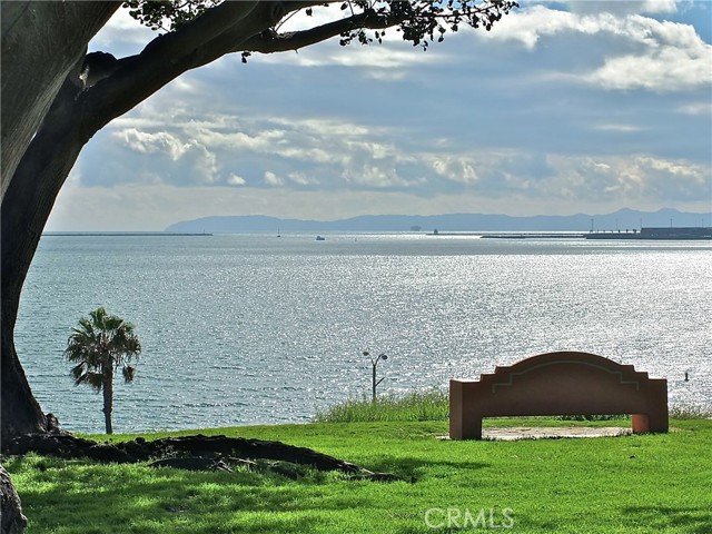 Detail Gallery Image 39 of 39 For 420 Redondo Ave #209,  Long Beach,  CA 90814 - 1 Beds | 1 Baths