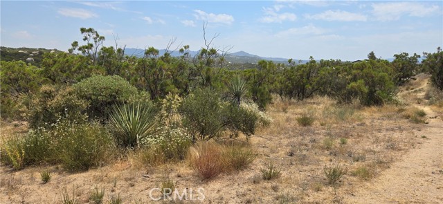 1011 Roan Way, Aguanga, California 92536, ,Land,For Sale,1011 Roan Way,CRSW24143304