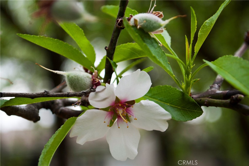 https://media.crmls.org/medias/c11bd082-7e7e-4668-b4ae-459276d0fd9e.jpg?preset=X-Large