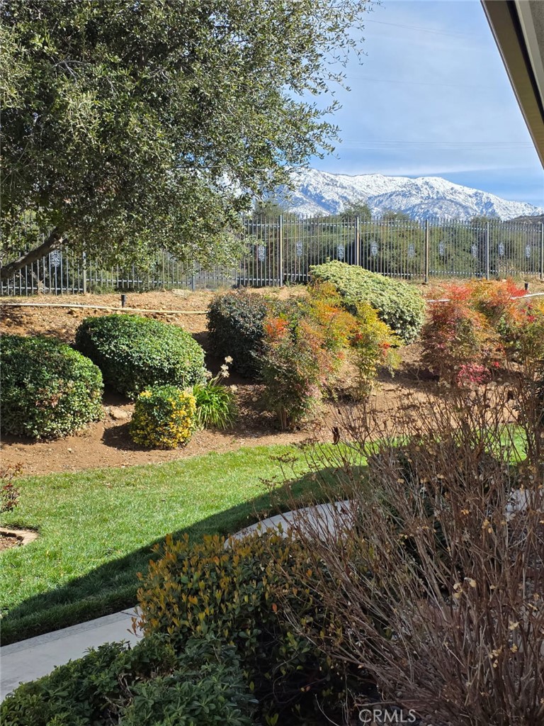 https://media.crmls.org/medias/c11fe953-9f98-4d23-bf3f-24bd4dc6e8e7.jpg?preset=X-Large