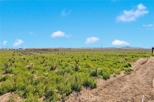 Detail Gallery Image 9 of 22 For 28571 Wild, Helendale,  CA 92342 - 2 Beds | 1 Baths