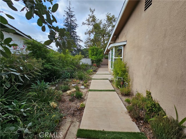 Side Yard