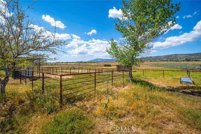 Detail Gallery Image 50 of 75 For 60006 Zoraida Rd, Anza,  CA 92539 - 3 Beds | 2 Baths