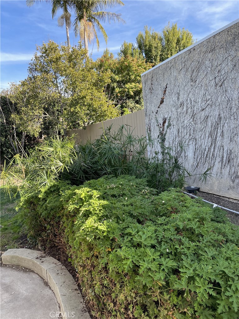 https://media.crmls.org/medias/c1242364-4817-4619-a7da-d7f4535d69ce.jpg?preset=X-Large