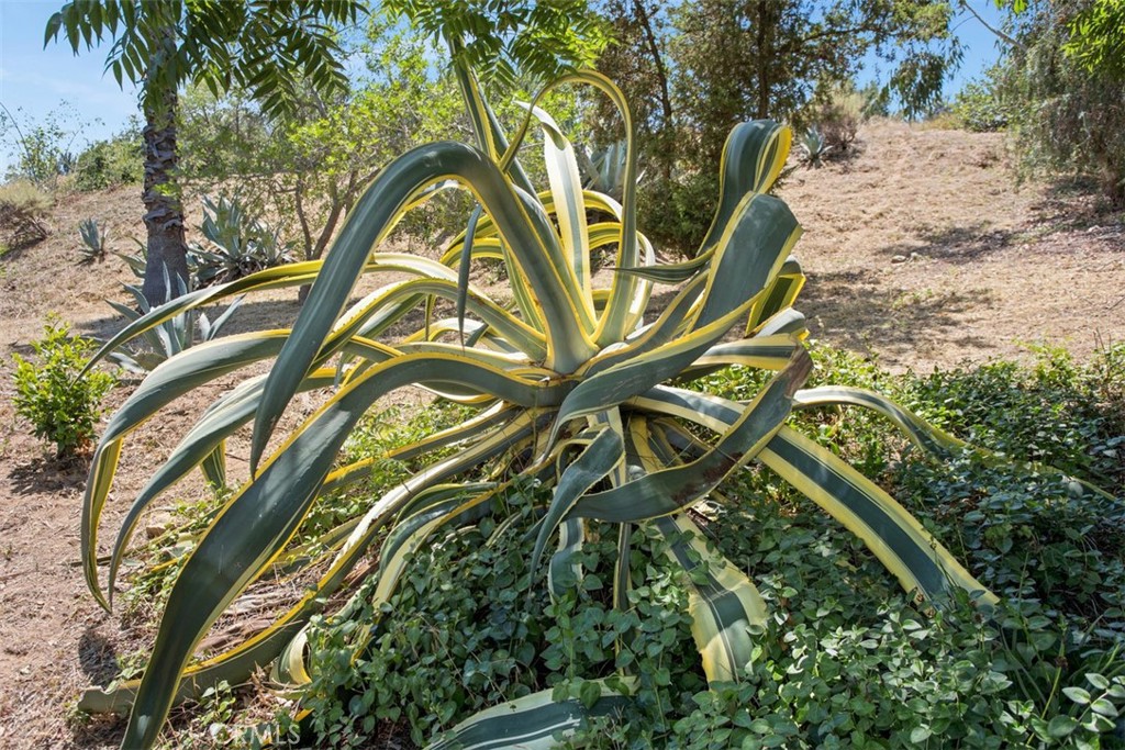 https://media.crmls.org/medias/c12aeee6-ee97-4e71-842a-cd4788b8c01f.jpg?preset=X-Large