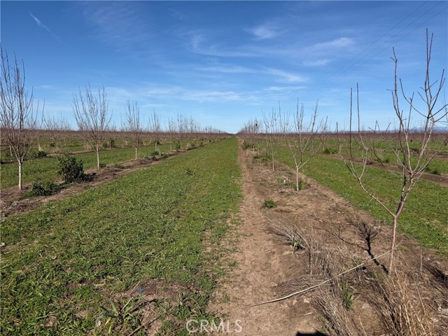 0 Cana Highway, Chico CA: https://media.crmls.org/medias/c12c3b91-05ae-49c9-ab86-240ba0018569.jpg