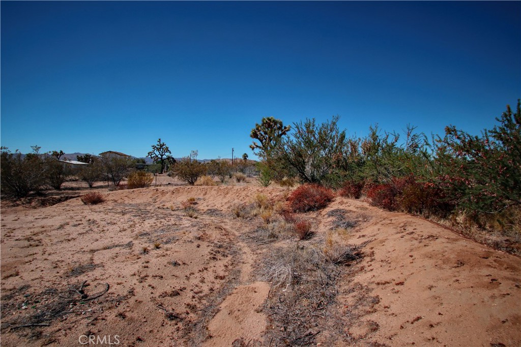 MLS #JT25220711 image #33