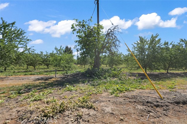 Image 4 of 21 For 0 Buchanan Hollow Road