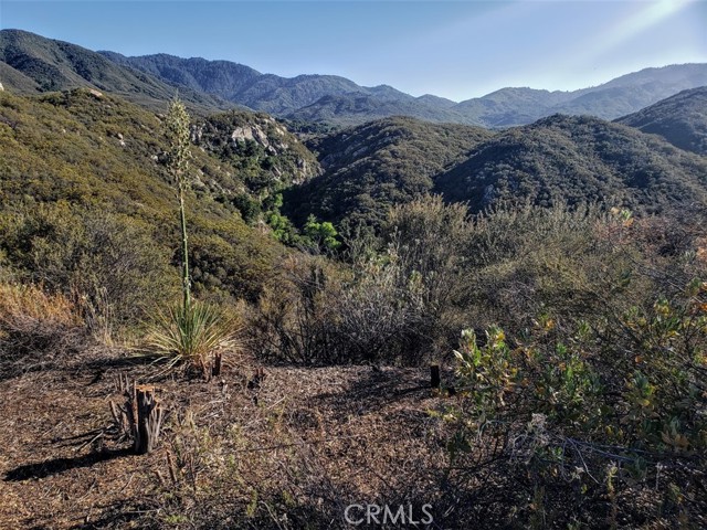 Detail Gallery Image 5 of 13 For 0 Crosley Truck Trail, Aguanga,  CA 92536 - – Beds | – Baths