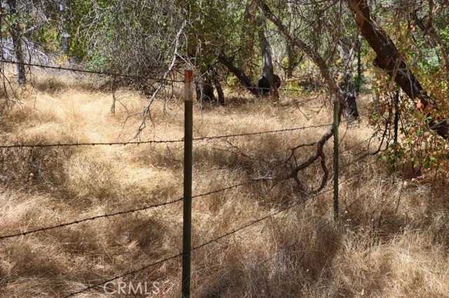 Detail Gallery Image 18 of 20 For 0 Mountain View Peak Road, O Neals,  CA 93653 - – Beds | – Baths