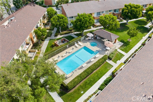 Pool and Grounds