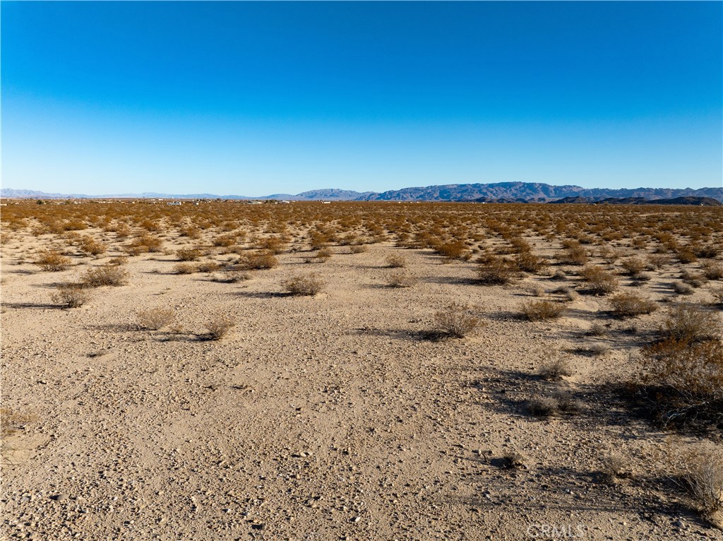 MLS #JT25029694 image #8