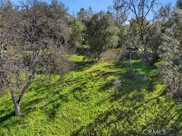 Detail Gallery Image 28 of 34 For 4251 Burl, Mariposa,  CA 95338 - – Beds | – Baths