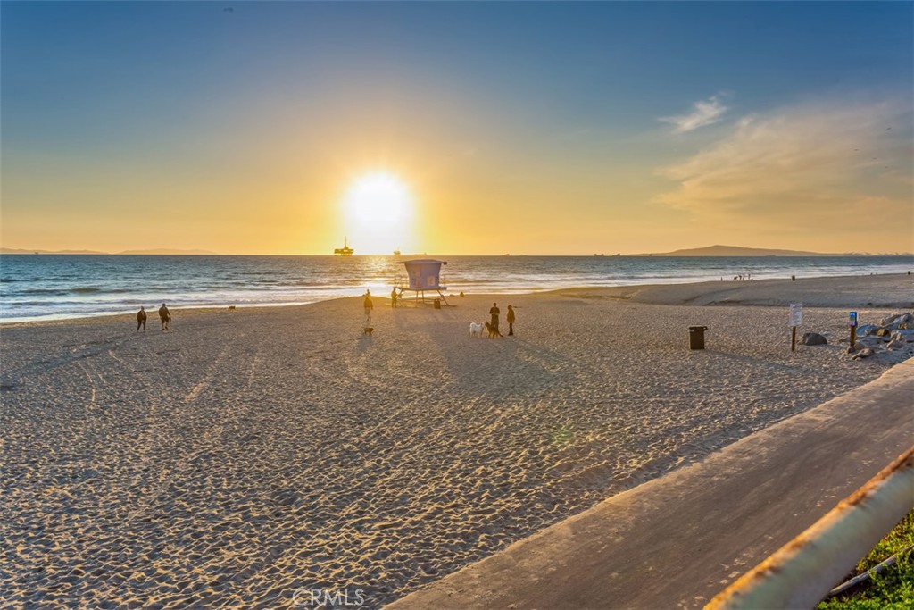 C13ec3f2 56c6 44e3 9698 E17af802c43f